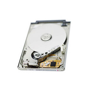 Apple 30GB 4200RPM ATA-100 2MB Cache 1.8 Internal Hard Drive for iPod - Compatible with iPod, 655-1269A
