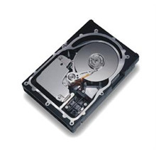 Dell 300GB 10000RPM Ultra-320 SCSI 68-Pin 8MB Cache Internal Hard Drive for Servers
