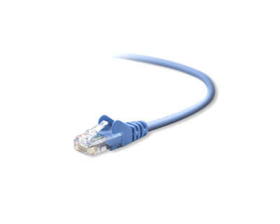 Belkin Blue RJ45 CAT-5e Patch Cable for Networking - A3L791B02M-BLUS