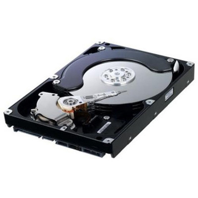 EMC 1TB 5400RPM SATA 3.5-Inch Hard Drive for CX-SA05-010 Servers