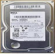 Samsung Spinpoint F3R 250GB 7200RPM SATA 3.5 HDD for ProLiant DL360p Gen8 Servers