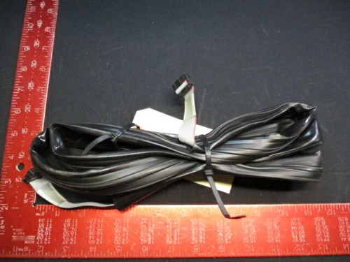 Applied Materials (AMAT) 0150-00254 CABLE ASSY HE COOLING CONTROL POS "D" Applied Materials (AMAT) 0150-00254 CABLE ASSY HE COOLING CONTROL POS "D"