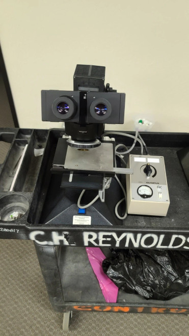Olympus Microscope binocular WHK10x Eyepieces X-Stage and Light Source