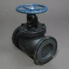 NEW FNW FNW661X 8 Flanged 200 WOG IBBM 125 Globe Valve