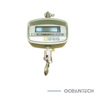 CAS NC1 500 NC1 Series Crane Scale 500lbs Capacity 02 lbs Resolution