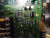 FUJI FSD-15 DN21,F50-15 DN21 DSR DRIVE, CDPB3CPS-62,EP-1496,CDPAOLKX-41,BN