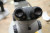 Beta Microscope