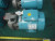 New MTH T51D SS Series Regenerative Turbine Pump 1/3 HP,208/230/460 Vac,3 Ph