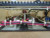 Southcon Drive Control Board 8RG1 8RG1 Repaired