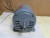 NEW DAYTON MOTOR 3N084 F488200A75 2 HP 3450RPM 230460V 3PH 145T FRAME