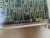 FANUC PC BOARD A16B1200074205C A16B12000742