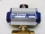 BITORQ IP2P1052SRPN PNEUMATIC ACTUATOR W BRONZE BALL VALVE 1NPT