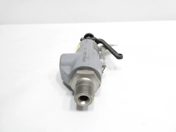 Flowserve 1990C-1-34 Steel Threaded Relief Valve 600psi 3/4in Npt
