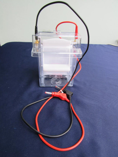 Invitrogen Novex Mini-Cell XCell II Surelock Blot Module Electrophoresis Cell