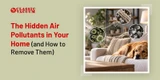 The Hidden Air Pollutants in Your Home (and How to Remove Them)