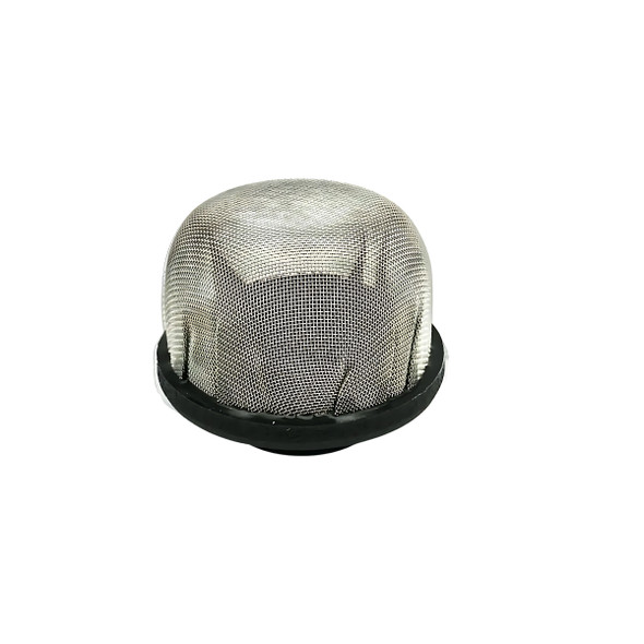 Pump protection filter