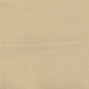 EL470463 Omnova Boltaflex ELAN CHINO 47046300 Faux Leather Polycarbonate Blend Upholstery Fabric