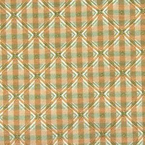 5438018 CITRUS Check Upholstery Fabric