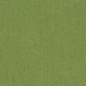 Sunbrella 48022-0000 SPECTRUM CILANTRO Solid Color Indoor Outdoor Upholstery Fabric