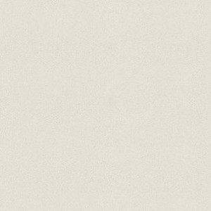 7080719 MARATHON SILVER Topping and Awning Fabric