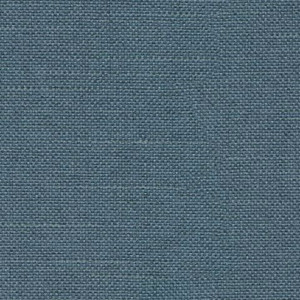 P/K Lifestyles Reba - Light Blue 409118 Fabric Swatch