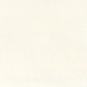 7146311 BAAHNO PEARL Solid Color Velvet Upholstery Fabric