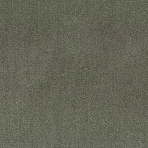 7146315 BAAHNO CYPRESS Solid Color Velvet Upholstery Fabric