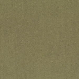 7146317 BAAHNO ALPINE Solid Color Velvet Upholstery Fabric