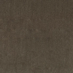7146318 BAAHNO JAVA Solid Color Velvet Upholstery Fabric