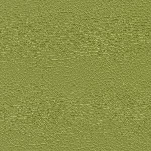6124124 MEEHAN SPRIG Faux Leather Urethane Upholstery Fabric