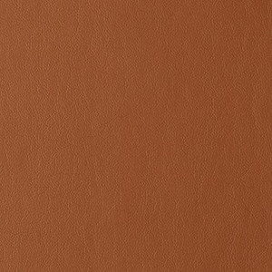 6422618 NUANCE PENNY Faux Leather Polycarbonate Upholstery Fabric