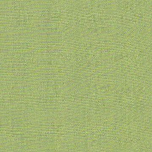 6663520 DHARMA AHMEDNAGAR Solid Color Dupioni Silk Drapery Fabric