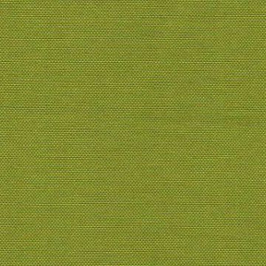 Swavelle Mill Creek FRESCO PEAR Tropical Drapery Fabric