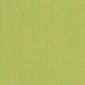 Sunbrella 48023-0000 SPECTRUM KIWI Solid Color Indoor Outdoor Upholstery Fabric