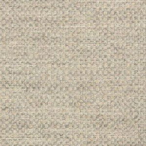 Sunbrella 44285-0001 ACTION ASH Solid Color Indoor Outdoor Upholstery And Drapery Fabric