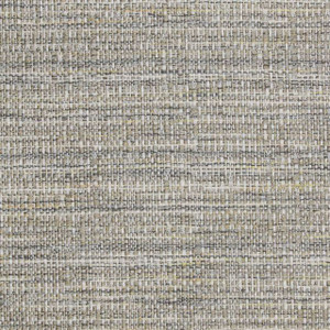 Richloom Fortress Clear GLADYS CEMENT Solid Color Upholstery Fabric