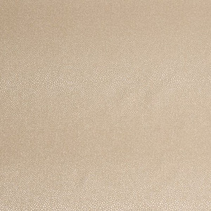 Bella-Dura EVERGLADE DRIFTWOOD Solid Color Indoor Outdoor Upholstery Fabric