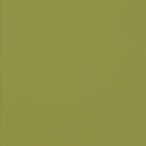 EVE015 Nassimi VERVE GUACAMOLE EVE015 Faux Leather Urethane Upholstery Fabric