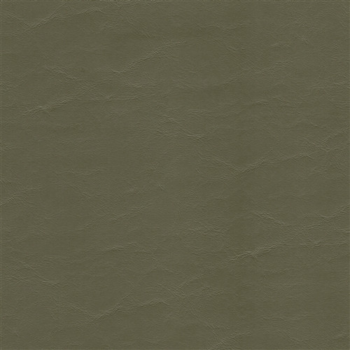 EZY5808 DUNHAVEN MOSS EZY5808 Furniture / Auto Upholstery Vinyl Fabric