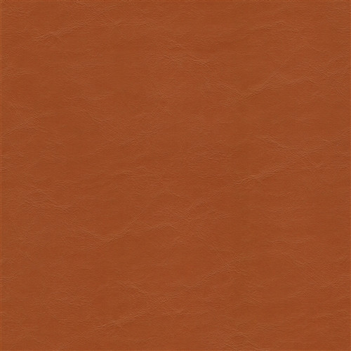 EZY5814 DUNHAVEN TERRA COTTA EZY5814 Furniture / Auto Upholstery Vinyl Fabric