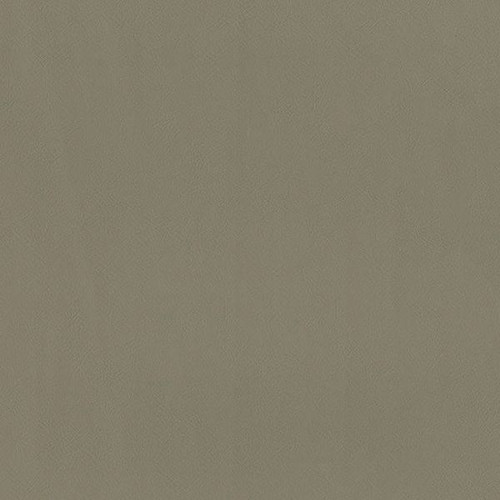 6432128 FREEDOM TAUPE Furniture / Marine Upholstery Vinyl Fabric