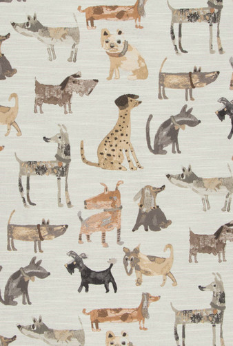 Swavelle Mill Creek WAG A TUDE DESERT Jacquard Upholstery Fabric