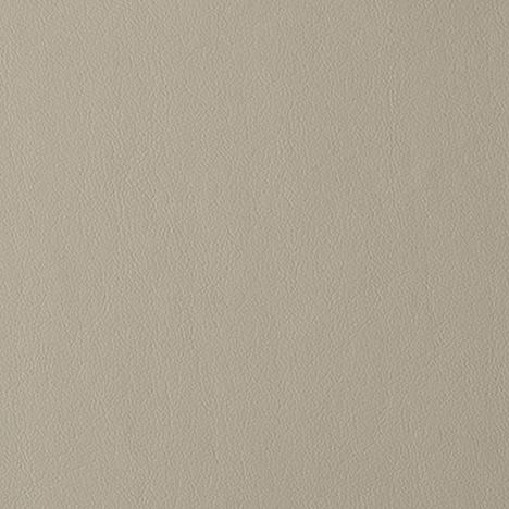 6422648 NUANCE PUMICE Faux Leather Polycarbonate Upholstery Fabric
