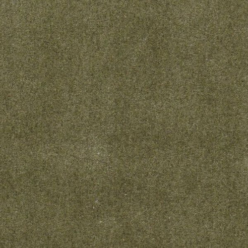 6670319 FLANDERS LICHEN Solid Color Cotton Blend Velvet Upholstery Fabric