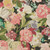 P Kaufmann LISBETH 001 SUMMER Floral Print Upholstery And Drapery Fabric