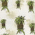 7184011 WELCOME HOMEY Tropical Print Upholstery And Drapery Fabric