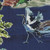 6452913 EMPEROR NAVY Print Upholstery And Drapery Fabric