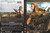 Replacement Original Artwork TROY 2-Disc WS Edition - DVD 28411