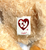 Beanie Baby TY - CURLS Teddy Bear 2004 (Swing Tag Creased)