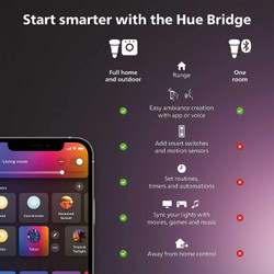 Philips Hue White and Color Ambiance Appear Outdoor Wall Light Fixture 1746330V7